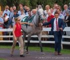 L'Amour De Ma Vie al tondino del Premio Vittorio Di Capua (G1) 