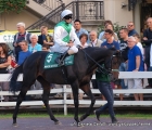 Il jockey David Probert in sella a Magic Artist al tondino del Premio Vittorio Di Capua (G1) 