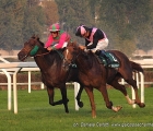 Priore Philip con in sella Dario Vargiu affianca Verdetto Finale con sella Mirco Demuro nella dirittura del Premio Vittorio Di Capua (G1)