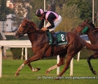 Dario Vargiu in sella a Priore Philip, ai 100 metri finali del Premio Vittorio Di Capua (G1) si stacca vincitore