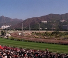 hong-kong-shatin-racecourse