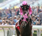 Longines Hong Kong Mile (Group 1) (3yo+) (Course A) (Turf) G1 sul miglio Beauty Generation
