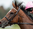 enable-and-frankie-dettori-in-perfect-harmony-at-kempton-08-09-2018