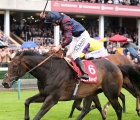 the-tin-man-wins-the-sprint-cup-under-oisin-murphy-sprint-at-haydock-g1-08-09-2018