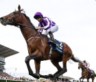 kew-gardens-ran-out-a-comfortable-winner-of-the-st-leger-settembe-2018-doncaster