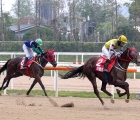 Seouri Byeol beats Special Stone in the Gyeonggi Governor’s Cup (Pic KRA) 2018