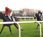 Lady Dutch ( Immobiliare Casa Paola) con in sella Dario Vargiu vince il Premio Poncia, 2° arrivato End of Season