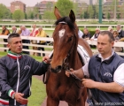 Crissolo al Tondino del Premio Lampugnano