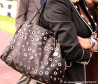  L'elegante borsa della Sig.ra Borsani