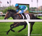 Moment of Love ( Sc. First Racing )con in sella P. Convertino vince il Premio Spol