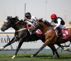 r1-sarastro-mared-al-sahra-premium-maiden-cup-1