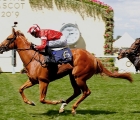 daahyeh-stayed-on-strongly-to-beat-celtic-beauty-and-ahora-ascot-21-06-2019-albany-stakes