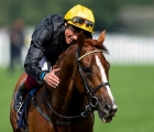 frankie-dettori-strokes-stradivarius-after-winning-the-gold-cup-ascot-20-06-2019