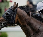 Head down Circus Maximus lands the St James’s Palace Stakes, 18 06 2019