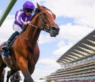 japan-all-class-at-ascot-21-06-2019