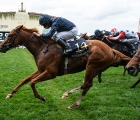 southern-hills-lands-the-windsor-castle-stakes-19-06-2019-ascot