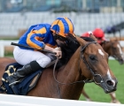 Authorized’s Santiago Dominates the Queen’s Vase, Royal Ascot Day 4, 19 06 2020