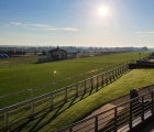 royal-ascot-turf-june-2020