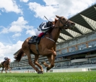 Sea the Moon’s Alpine Star Emulates Alpha Centauri In the Coronation, Royal Ascot Day 5, 20 06 2020