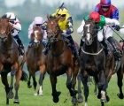 pyledriver-comes-across-his-rivals-on-his-way-to-hardwicke-success_-royal-ascot-day-5