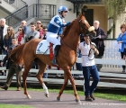 Into The Lane con in  sella Fabio Branca al tondino del Premio Cesare degli Occhi