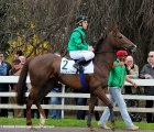 Seasonal Missile al tondino del Premio Castelnuovo di Bozzente