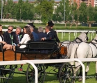 La carrozza con le celebrità durante la sfilata di presentazione dei cavalli del Grande Steeple Chase.