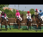 Uni Light con in sella Pastuszka, in testa al Grande Steeple Chase di Milano.