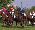  Passaggio davanti alle Tribune del Grande Steeple Chase di Milano.