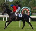 Hunting Horse con in sella Convertino vince il Premio Gardellone.