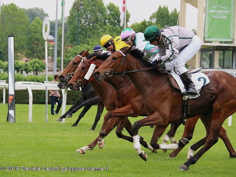 Arrivo in fotofinish: in primo piano High School vince il Premio Vergano, in lotta davanti a Top Of Esteem secondo in giubba gialla ed Artorius terzo con cap verderosa