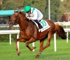 Red Dubawi con in sella Andreas Suborics vince il Premio Vittorio Di Capua 2015