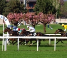 Casorate montato da Michael Rossini vince il Premio Bozzente,2° Azkaban con in sella Stefano Botti ,3° Leader Maximo montato da Federico Bossa