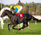 Novellist vince il Jockey Club con in sella Eduardo Pedroza