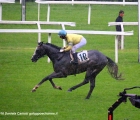 Way To Paris vince il Premio Merano con in sella il fantino Marco Monteriso per i colori storici della Sc. Fert del Sig. Paolo Ferrario