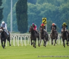 Il fantino Umberto Rispoli si avvia alla vittoria del Premio Carlo Vittadini 2016 (G3) in sella a Kaspersky