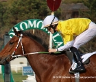 Rossese con in sella Claudio Colombi vince il Premio Maslogarth