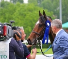 Little Bruv con la coccarda del vincitore del Grande Steeple Chase di Milano G1, sotto gli occhi del suo trainer Paolo Favero