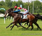 Azari, allo steccato, vince il Premio P.le dello Sport con in sella Dario Vargiu, secondo è Clockwinder con in sella Umberto Rispoli all'esterno, terzo è Changeling al centro con in sella Mario Sanna