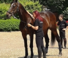 Varenne e la sua groom Daniela Zilli