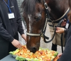 Varenne e la sua torta di mele e carote