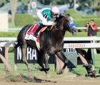  USA: Arrogate