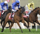 Meydan: Prizemoney bluecap 1 stemotionless white cap 3rdg 2 dubai city of gold