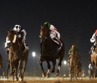 Meydan: Nashmiah-green-cap-is-now-following-her-classic-success-in-the-listed-uae-1000-guineas february-9-2017