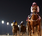 Meydan: Special Fighter-bids-to-become-the-first-dual-winner-of-the-al-maktoum-challenge-r3