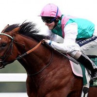 Frankel in azione