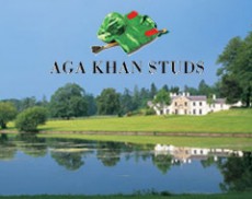 Aga Khan Studs