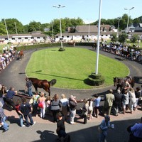 Arqana Deauville