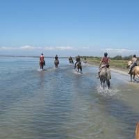 Passeggiate a cavallo