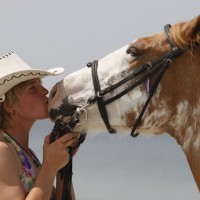 Horse Sharing